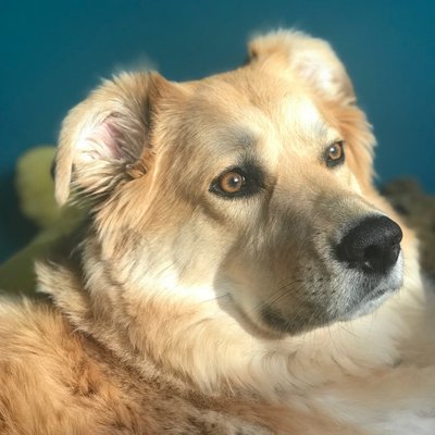 Profile Picture of Taylor McDevitt (@McdevittTaylor) on Twitter