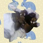 Profile Picture of cynthia mcguire (@jimmy_dooley_fan_) on Instagram