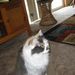 Profile Picture of Randy Zabel (@randyzabel9) on Pinterest