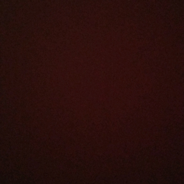 Profile Picture of Andrea I love you🥺❤ (@angel_loves_andrea) on Tiktok