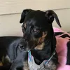 Profile Picture of Larry Chancy (@larrychancy) on Tiktok