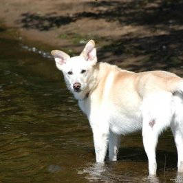 Profile Picture of Mark Greenlee (@MarkGreenlee10) on Twitter