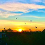 Profile Picture of 🎨✏️ (@daniel_liam_hurley) on Instagram