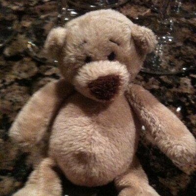 Profile Picture of Kim Harvell (@kimharvell) on Twitter