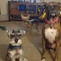 Profile Picture of Tabitha Triplett (@tabitha-triplett) on Quora