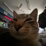 Profile Picture of Joseph Dalton Brownell (@dalton.brown.3344913) on Facebook