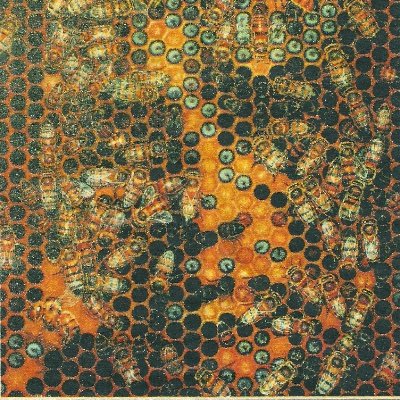 Profile Picture of Tom Drones (@drones_tom) on Twitter