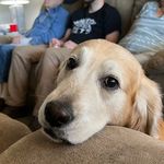 Profile Picture of Leanne Schroeder (@azblueyez) on Instagram