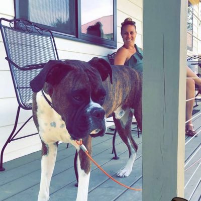 Profile Picture of Jackie Casey (@Jackiecrowley) on Twitter