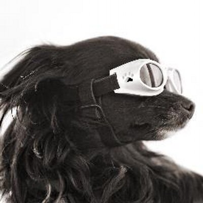 Profile Picture of Lori Carpenter (@Lori_Carpenter) on Twitter