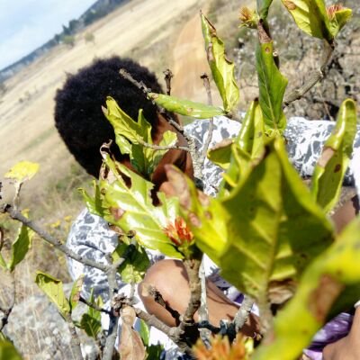Profile Picture of TeRrY TrEe_SA 24 (@TeRrYTrEeSA242) on Twitter