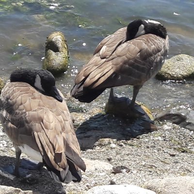 Profile Picture of James Vong (@JamesVong13) on Twitter