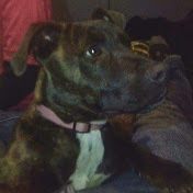 Profile Picture of D.SAVAGE (@d.savage9030) on Youtube