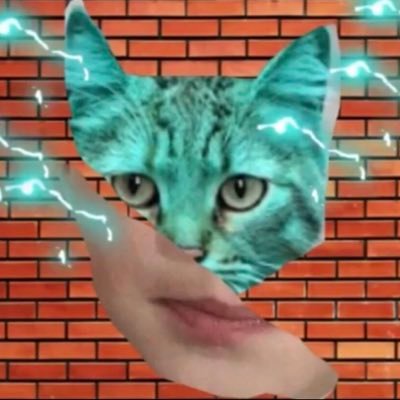 Profile Picture of CAT DAVID LIME PLAY (@CATDAVIDLIMEPL1) on Twitter