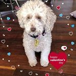 Profile Picture of Sue Cobb (@jenna.cobb.583) on Instagram