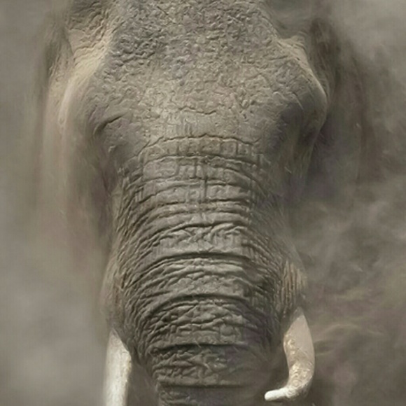 Profile Picture of Susan Anewalt (@44sj44) on Poshmark