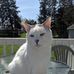 Profile Picture of Shirley Waldron (@shirley.waldron.9) on Facebook