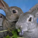 Profile Picture of Paula Baric (@paulabaric9) on Instagram