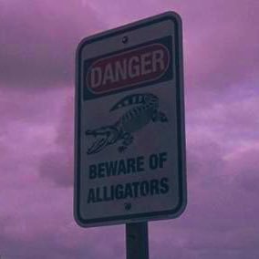 Profile Picture of Pavlo (Pablo) Baron (@pavlobaron) on Twitter