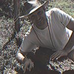 Profile Picture of Wilderness Bert (@wilderness.bert) on Instagram