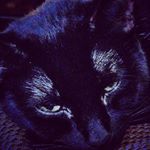 Profile Picture of Jesse Stephens (@jesse.steph) on Instagram