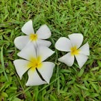 Profile Picture of Pam Hensley (@Pam-Hensley) on Facebook