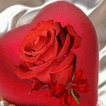 Profile Picture of Mohammad Nemati (@mohammadnemati305) on Flickr