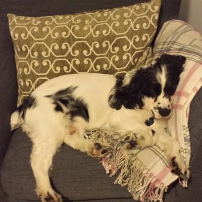 Profile Picture of Jamie Dunlap (@TheWriterJamie) on Twitter