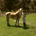 Profile Picture of Brianna Barry (@briannabarry2959) on Instagram