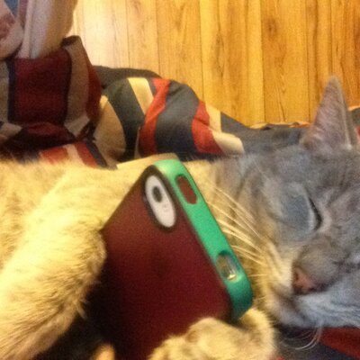 Profile Picture of Tate James Benoit (@BenoitJess) on Twitter