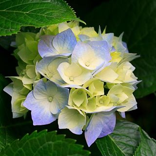 Profile Picture of Simone Richards (@simone.richards.3538) on Facebook