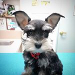 Profile Picture of Samwell Charlie (@samwellcharlie) on Instagram