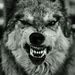Profile Picture of Joey Steelman (@joeysteelman) on Pinterest