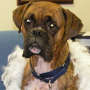 Profile Picture of Debbie Hughes (@debbiehughes3101) on Youtube