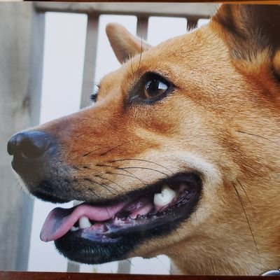 Profile Picture of Jackie Van Hook (@InterimLeader) on Twitter