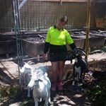 Profile Picture of Dawn Moir (@dawnmoir11) on Instagram