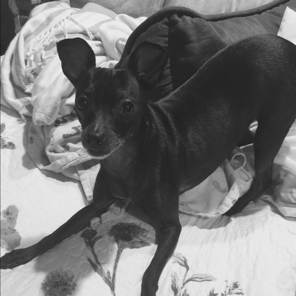 Profile Picture of Katie Gilsdorf (@katiem57) on Poshmark