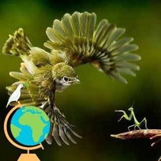 Profile Picture of Yves Dupont (@yves.dupont.71) on Facebook