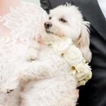 Profile Picture of Jake Robbins (@mrsemilydresser) on Instagram