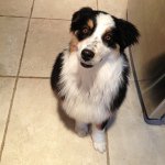 Profile Picture of Lorena Baca (@lorenabaca) on Instagram