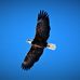 Profile Picture of Tony Thacker (@tony.thacker.54) on Facebook