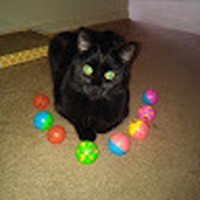 Profile Picture of Daniel Robert Lahey (@daniel-robert-lahey) on Quora