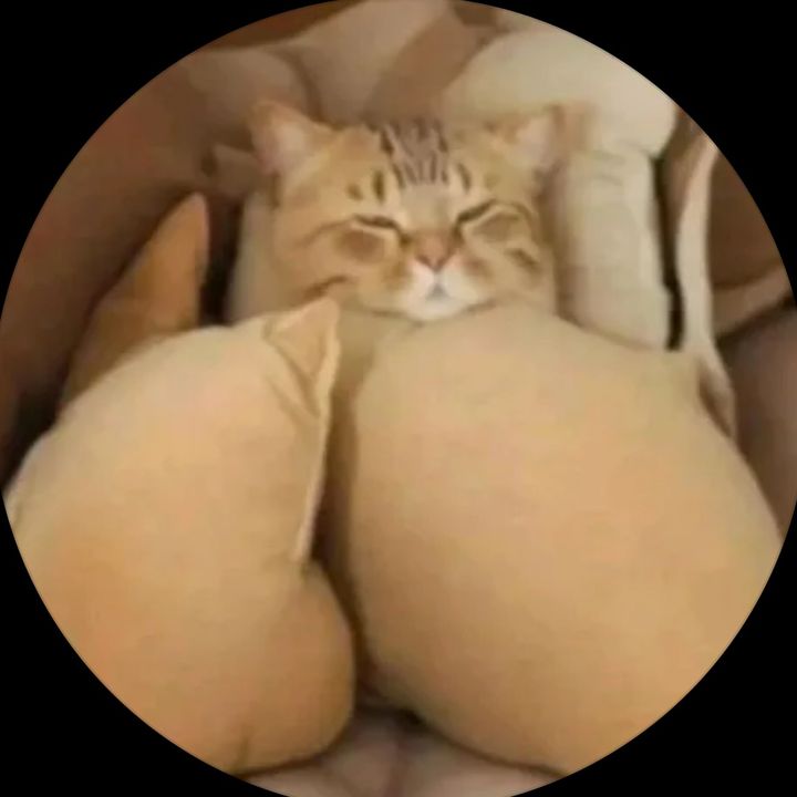 Profile Picture of Rytis (@rytis_xo) on Tiktok