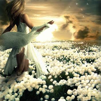 Profile Picture of Aleja Rivera (@alejarivera0312) on Twitter