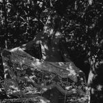 Profile Picture of Bianca Vereecke (@bianca.vereecke) on Instagram