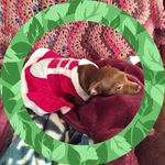 Profile Picture of Cheryl Dianne Blevins Emery (@blevinsemery) on Instagram