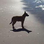 Profile Picture of Mark Plourde (@plourdemark) on Instagram