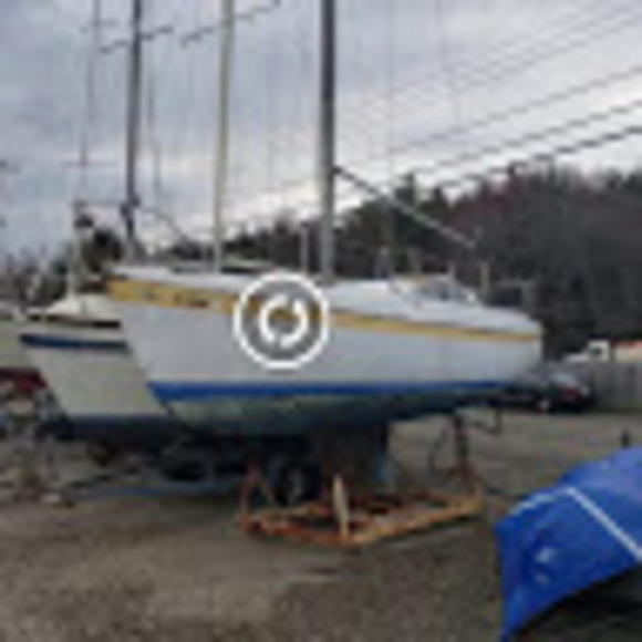 Profile Picture of Christopher Dove (@chrisdove2111) on Poshmark