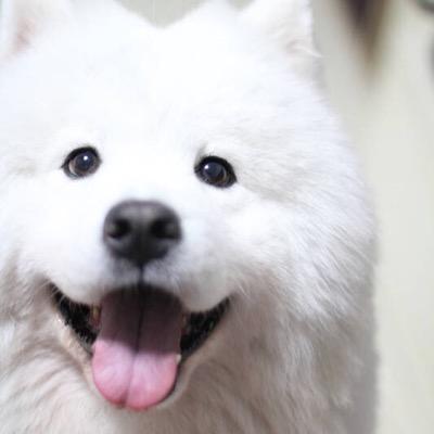 Catherine Meng - Twitter Profile Picture of Catherine Meng (@zongshibeizhuce) on Twitter