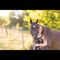 Profile Picture of Audrey Scheidegger (@audrey.scheidegger.58) on Facebook